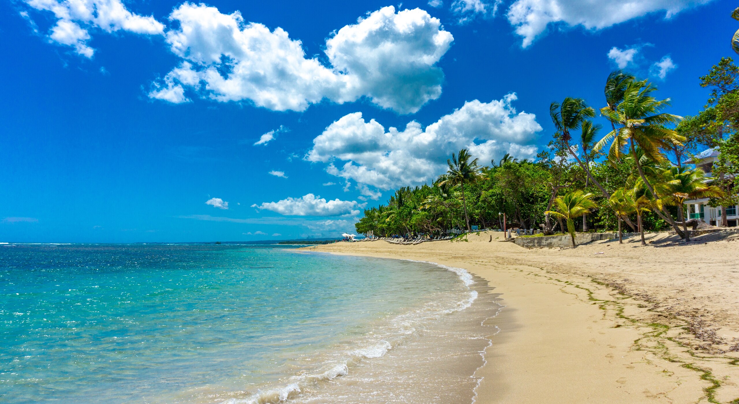 Key West, Bahamas & Labadee